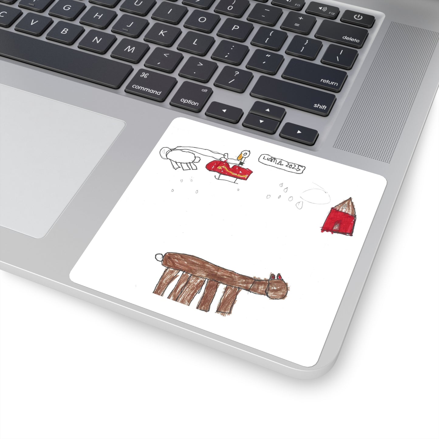 Santa Duck by Liam A