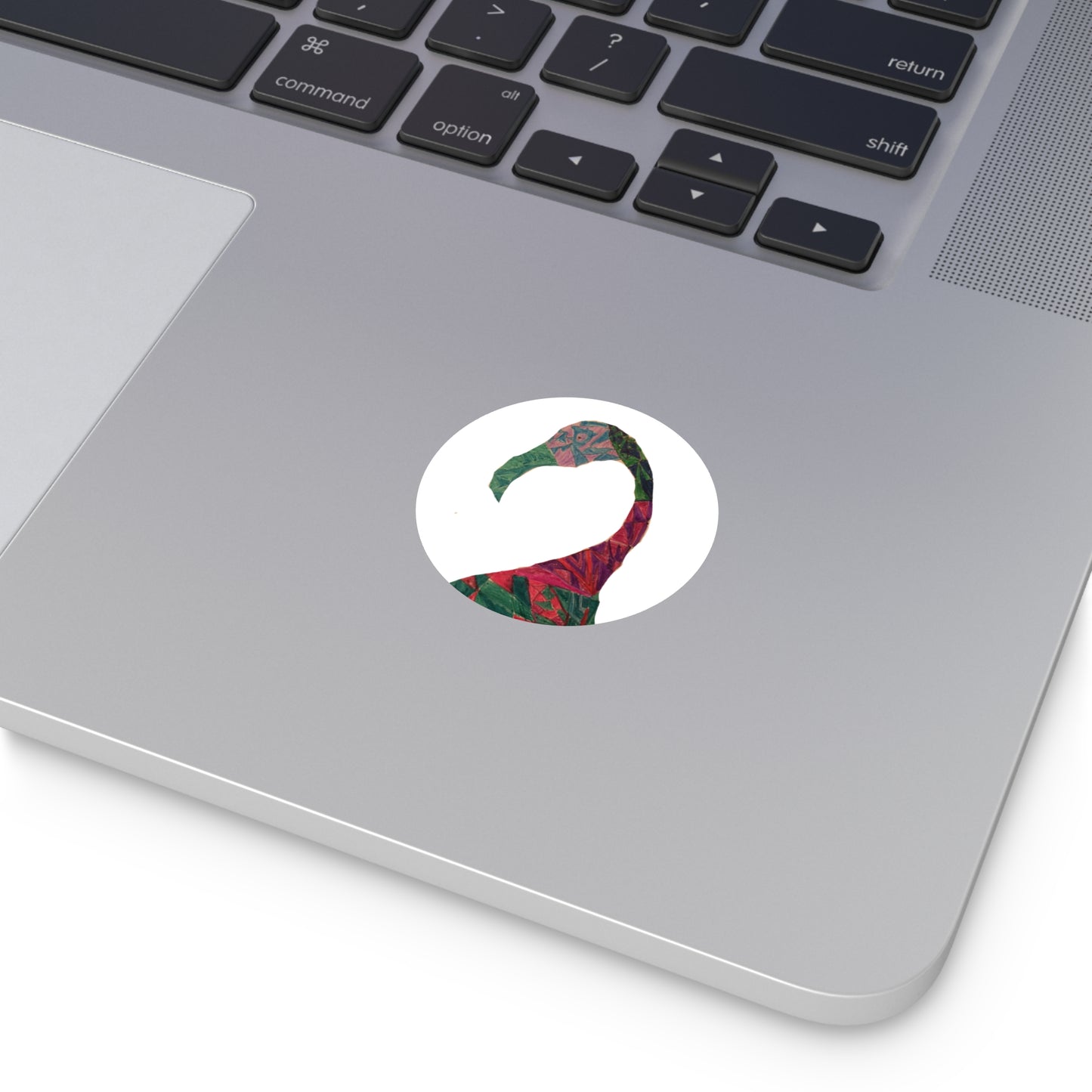 Colorful Flamingo by Ellie